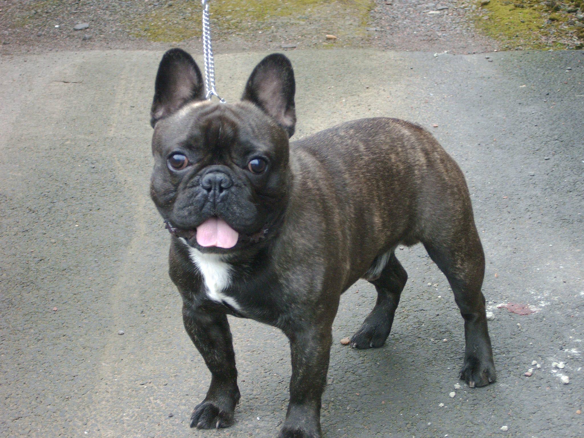 5279cb72ea57ca0325acd10b80e754c6