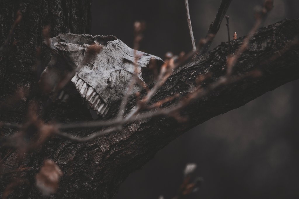 Terry Pratchett, Witchcraft, and&nbsp;Aesthetics