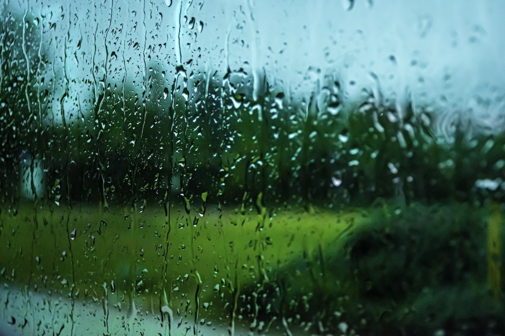 Southern Rain Wisdom – First September&nbsp;rain